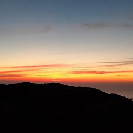 T'aloni ゲストハウス